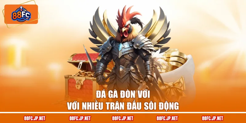 Đá gà đòn với với nhiều trận đấu sôi động