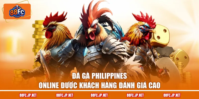 Đá gà Philippines online được khách hàng đánh giá cao