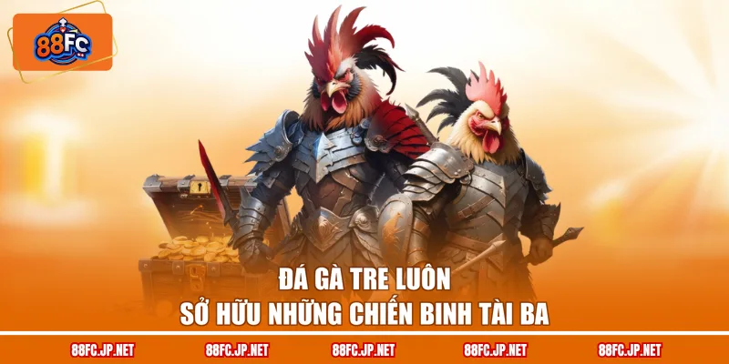 Đá gà tre luôn sở hữu những chiến binh tài ba