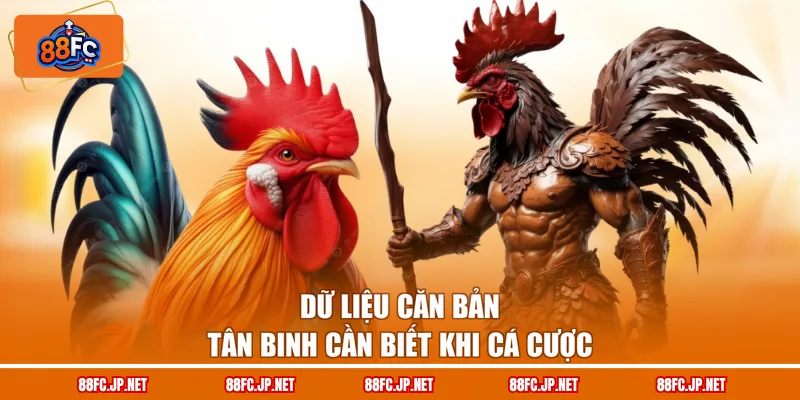 Dữ liệu căn bản tân binh cần biết khi cá cược