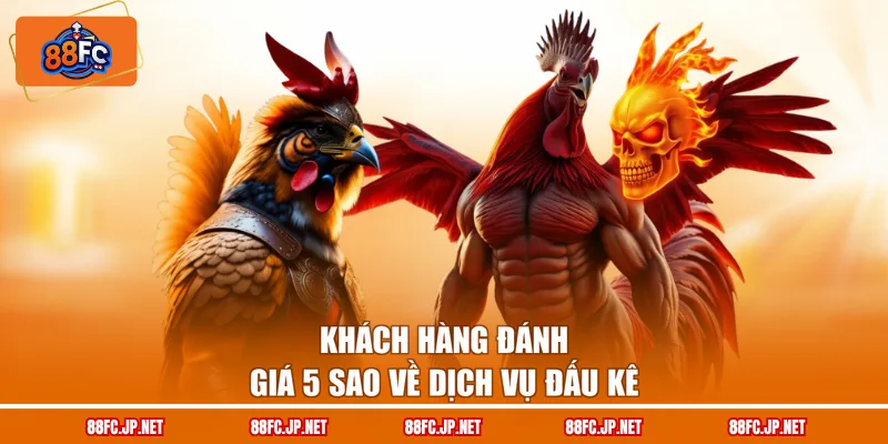 Khách hàng đánh giá 5 sao về dịch vụ đấu kê