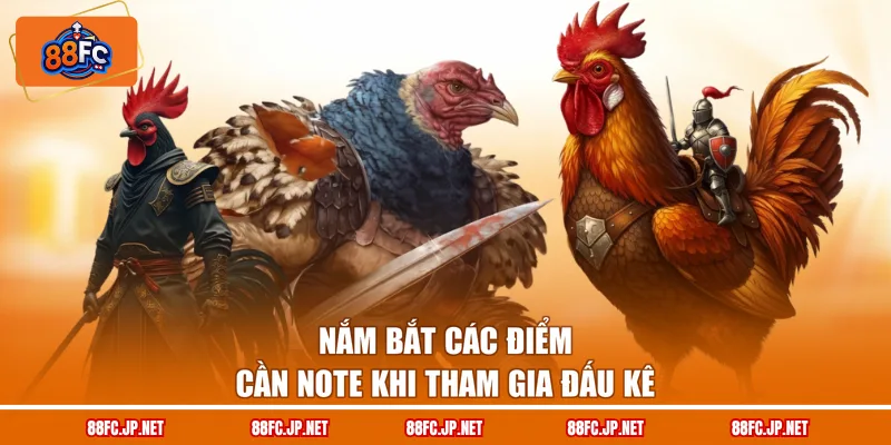 Nắm bắt các điểm cần note khi tham gia đấu kê